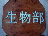 生物部 生物部